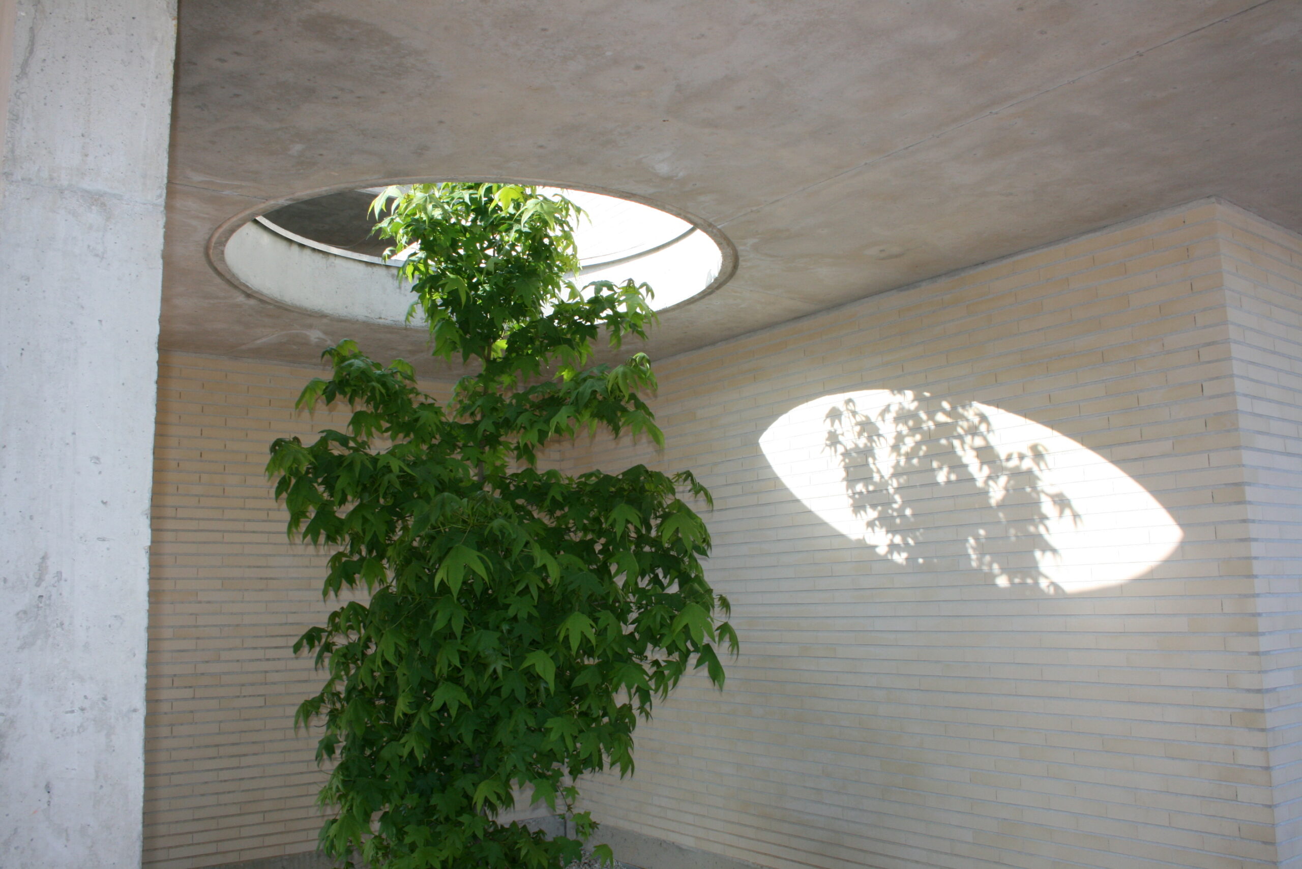 Detalle Hospital Planta